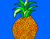 Disegno ananas  pitturato su chiara