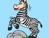 Disegno Zebra che salta sulle pietre  pitturato su patrick e silvia