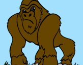 Disegno Gorilla pitturato su aurelio divizio