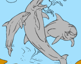 Disegno Delfini che giocano  pitturato su simone