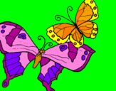 Disegno Farfalle pitturato su Matilda