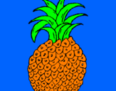 Disegno ananas  pitturato su tommaso