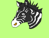 Disegno Zebra II pitturato su CHIARA