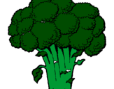 Disegno Broccoli  pitturato su Antonio