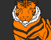 Disegno Tigre pitturato su KOVU