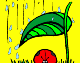Disegno Coccinella protetta dalla pioggia  pitturato su fede