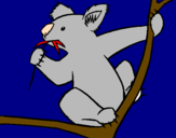 Disegno Koala  pitturato su orso-veloce