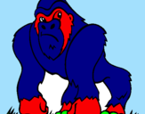 Disegno Gorilla pitturato su GIACOMO COSMO