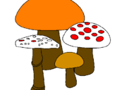 Disegno Funghi pitturato su fabrizio