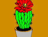 Disegno Cactus fiorito  pitturato su MADELINYJUMA