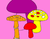 Disegno Funghi pitturato su agnese