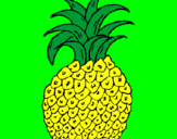 Disegno ananas  pitturato su Roberta 