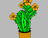 Disegno Fiori di cactus  pitturato su MADELINYJUMA