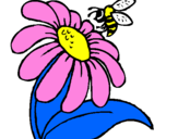 Disegno Margherita con ape  pitturato su fedegretamarta