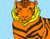 Disegno Tigre pitturato su MANUEL