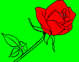 Disegno Rosa  pitturato su emma