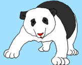 Disegno Orso panda  pitturato su ariana7