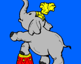 Disegno Elefante  pitturato su niccolò