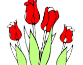 Disegno Tulipani  pitturato su Emanuele