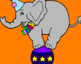 Disegno Elefante sulla palla  pitturato su debora