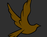 Disegno Colomba della pace in volo pitturato su CHIARA