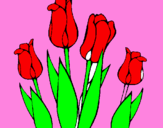 Disegno Tulipani  pitturato su emma