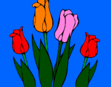 Disegno Tulipani  pitturato su benny