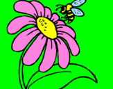 Disegno Margherita con ape  pitturato su lucia
