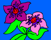 Disegno Fiori pitturato su i  fiori