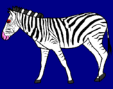 Disegno Zebra  pitturato su antonio