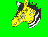 Disegno Zebra II pitturato su FRANCESCO PIO