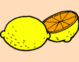 Disegno limone  pitturato su elisheva
