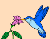 Disegno Colibrì con un fiore  pitturato su marti