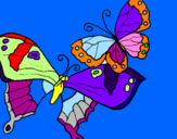 Disegno Farfalle pitturato su ELISA