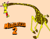 Disegno Madagascar 2 Melman 2 pitturato su gloria d