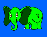 Disegno Piccolo elefantino  pitturato su mattia