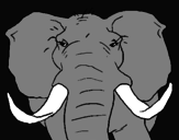Disegno Elefante africano pitturato su ale2