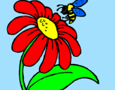 Disegno Margherita con ape  pitturato su GIULIA