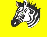 Disegno Zebra II pitturato su ALESSANDRO P.