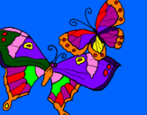Disegno Farfalle pitturato su antonio