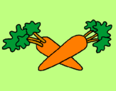 Disegno carote  pitturato su flavia