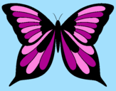 Disegno Farfalla 8 pitturato su violetta