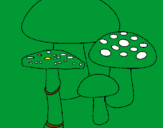 Disegno Funghi pitturato su martina 07