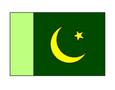 Disegno Pakistan pitturato su bandiera