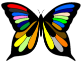 Disegno Farfalla pitturato su  farfalla