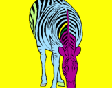 Disegno Zebra  pitturato su sveva