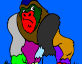 Disegno Gorilla pitturato su Caterina