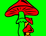 Disegno Funghi pitturato su g