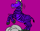 Disegno Zebra che salta sulle pietre  pitturato su LORENZO