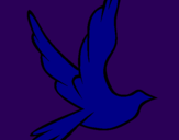 Disegno Colomba della pace in volo pitturato su gemelliNGHLHYOOUUNGOIHPOI
